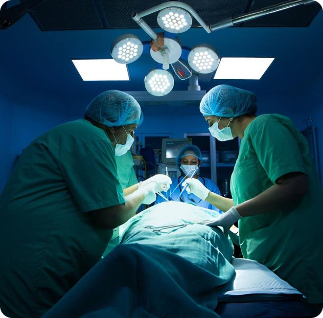 Navigating the Vermont Board of Medical Practice